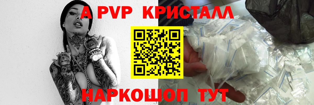 A-PVP СК КРИС Губкин