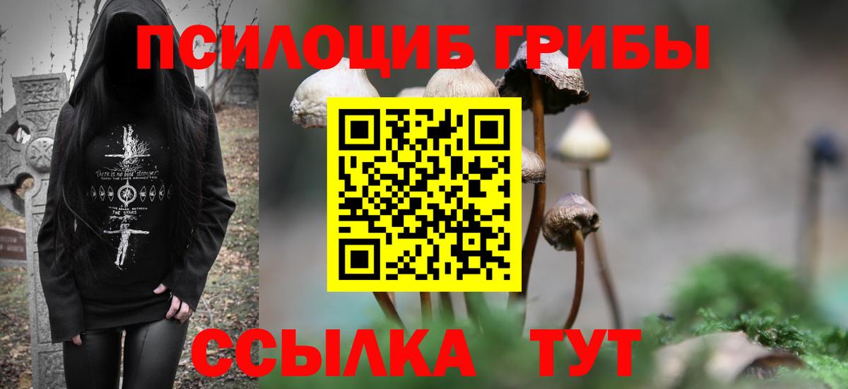 Псилоцибиновые грибы мухоморы Губкин